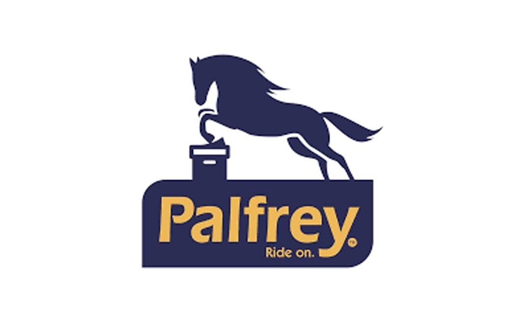 Palfrey Pumpkin Seeds    Pack  300 grams